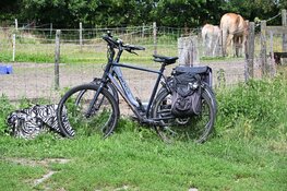 Fietser gewond na aanrijding met personenauto in Limmen