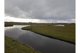 Oer-IJ lezing De waterhuishouding van het Oer-IJ gebied