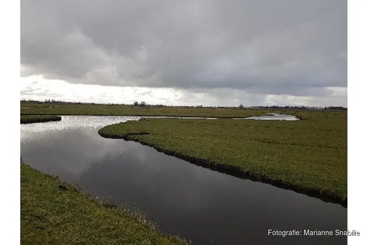 Oer-IJ lezing De waterhuishouding van het Oer-IJ gebied