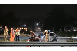 Auto afgebrand tijdens rit op A9 bij Heiloo
