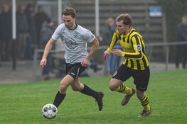 Meervogels heeft aan één goal genoeg bij DWB