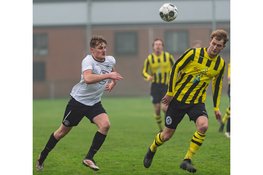 Meervogels heeft aan één goal genoeg bij DWB