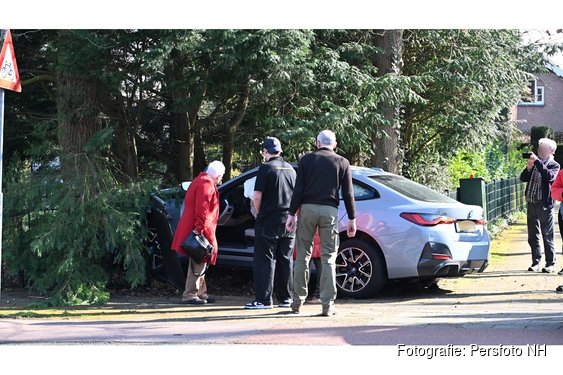 Automobilist komt tot stilstand tegen boom in tuin