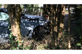 Automobilist komt tot stilstand tegen boom in tuin