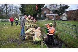 Paard gered uit sloot in Castricum