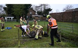 Paard gered uit sloot in Castricum