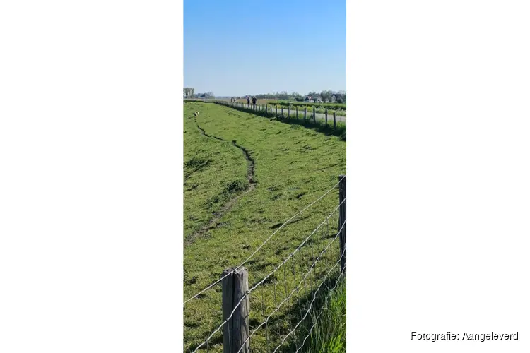 AMAK Koningswandeltocht 2026