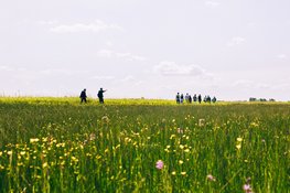 90 minuten met de boswachter: oernatuur van het Limmerdie