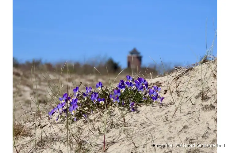 Natuur- en cultuurwandeling Bergen aan Zee