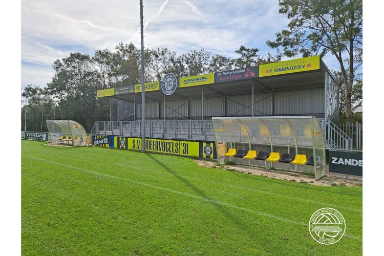 Meervogels '31 plaatst zich voor nacompetitie