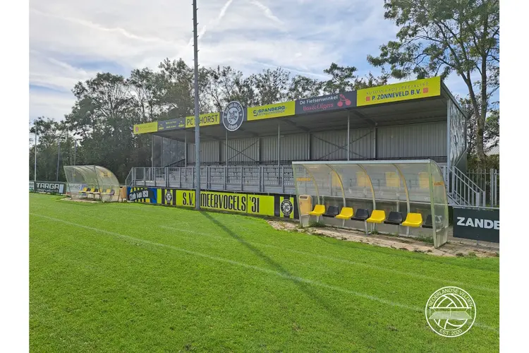 Meervogels '31 plaatst zich voor nacompetitie