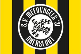 Meervogels '31 zet eerste stap richting promotie
