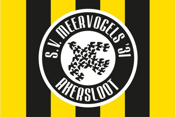 Meervogels '31 zet eerste stap richting promotie