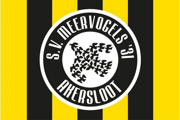 Meervogels '31 zet eerste stap richting promotie