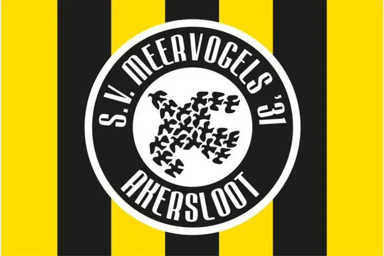Meervogels '31 zet eerste stap richting promotie