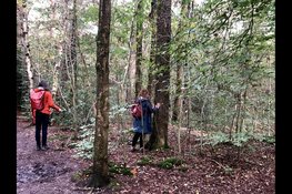 Lichtvoetig door het bos, zintuigenwandeling Kijk, ruik, luister en voel de duinnatuur