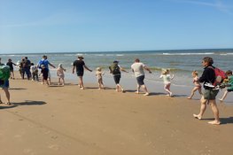 Korren op het strand Castricum aan Zee - Ontdek wat er leeft in de Noordzee!