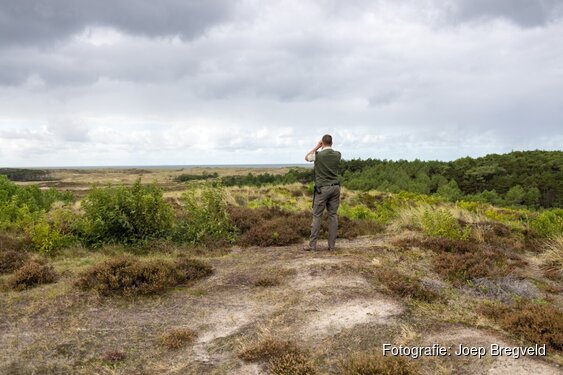 Staatsbosbeheer doet voor het eerst mee aan de Internationale Dag van de Boswachter