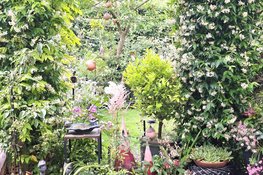 Open Tuinenweekend Heemskerk
