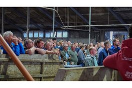 Informatieavond voor Noord-Hollandse boeren in Grosthuizen goed bezocht