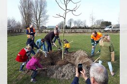62e Nationale Boomfeestdag