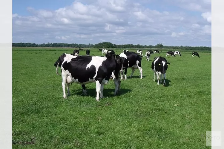 De beste boeren wonen in de stad