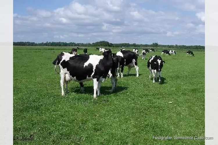 De beste boeren wonen in de stad