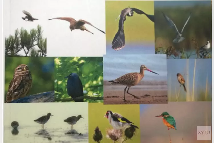 Peter Bosman vertelt over vogels in Bergen