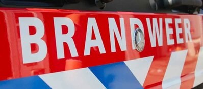 Weggegooide peuk veroorzaakt brand in duingebied, vlammen in de kiem gesmoord