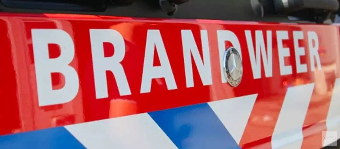 Weggegooide peuk veroorzaakt brand in duingebied, vlammen in de kiem gesmoord