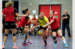 Handbalsters Meervogels weer onderuit in Heerhugowaard