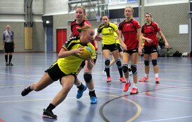 Handbalsters Meervogels weer onderuit in Heerhugowaard