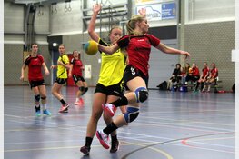 Handbalsters Meervogels weer onderuit in Heerhugowaard