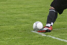 Meervogels’31 maakt geen fout