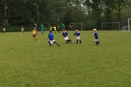 FC Castricum Klaas Peijs Jeugdtoernooi waanzinnig succes