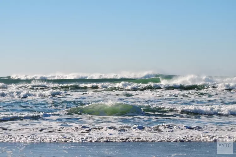 Actie Beach Cleanup Bergen en Castricum
