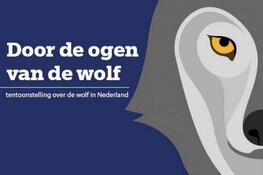Vernieuwde tentoonstelling over de wolf verhuist naar De Hoep