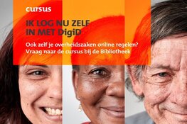 Digisterker – werken met de e-overheid