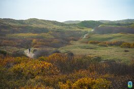 Graef Castricum Trail 2019