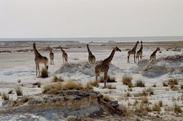 Motoravontuur dwars door Afrika